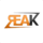 Team rEAK Logo