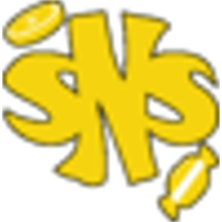 SweetNSour logo