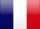 Team France FE Logo