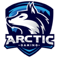 Arctic Gaming Mexico