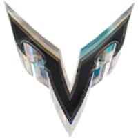 Team Vizer Logo