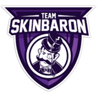 Équipe Team SkinBaron Logo