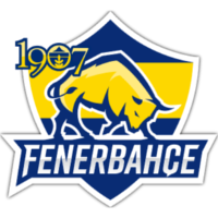 Team Fenerbahçe Esports Logo